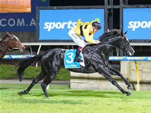 Trent Crebbin's tab.com.au Race by Race Sandown Preview: .